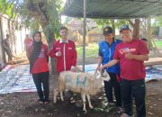 UBSI dan BEM Turut Berqurban di Masjid Baitul Hikmah Gamping Sleman pada Hari Raya Idul Adha 1446 H