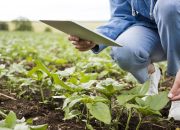 Mahasiswi UNM Raih Medali Internasional Lewat Inovasi AI untuk Pertanian