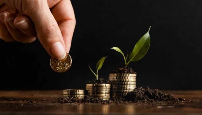 Sadar Investasi Selagi Muda: Fondasi Finansial Cerdas untuk Generasi Digital