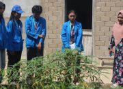 Koling, Potensi Desa Radak yang Padukan Budidaya Lele dan Upaya Atasi Stunting