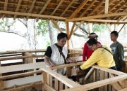 UBSI dan BRIN Berdayakan Peternak Domba Garut Lewat Digitalisasi dan Pakan Mandiri